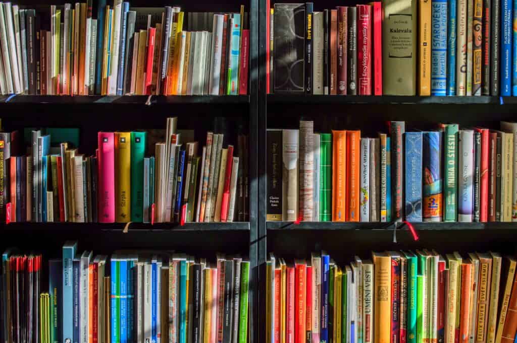 Bookshelf with miscellaneous books